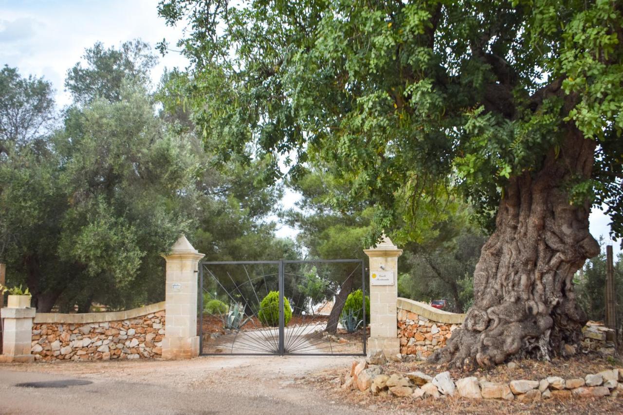Вилла Trulli Monte Madre Сан-Вито-деи- Норманни Экстерьер фото